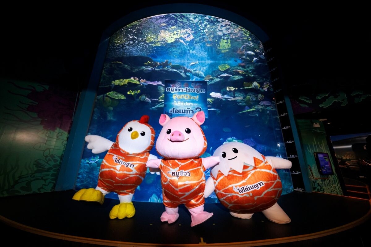 U FARM เปิดประสบการณ์ 'หมูชีวา-ไก่เบญจา FUN DIVE!' ไม่ใช่ปลา แต่มีโอเมก้า 3