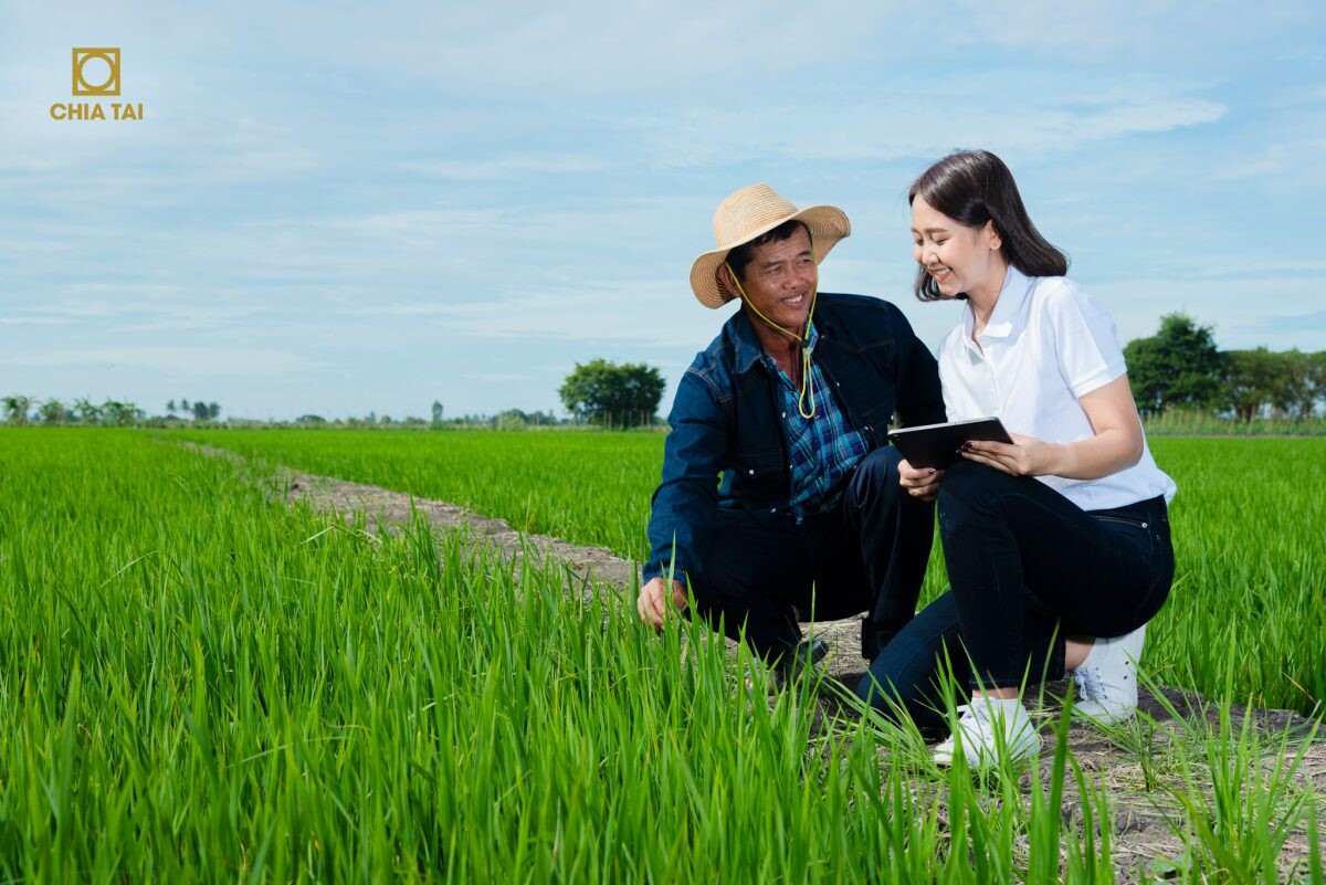 Unveiling the Vision of Chia Tai's Commercial Leader, Pioneering Solutions to Propel Thailand's Agriculture into Smart Era