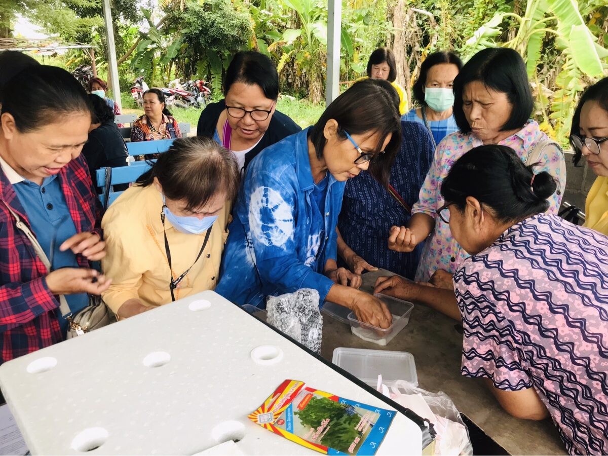 สำนักงานพัฒนาฝีมือแรงงานแพร่ ดำเนินการเปิดฝึกอบรมอาชีพเสริม หลักสูตร การปลูกผักไฮโดรโปนิกส์ปลอดสารพิษ