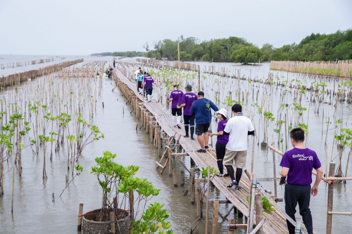 "สหพัฒนพิบูล" ร่วมเป็น 1 ในภาคีเครือข่าย กทม. รวมพลังชาว SPC พร้อมใจกันปลูกป่าชายเลน เดินหน้ารักษ์สิ่งแวดล้อมตามแนวทางธุรกิจที่ยั่งยืน