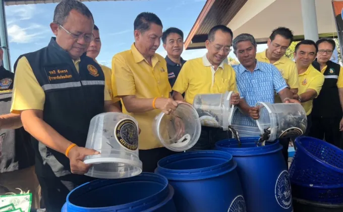 ซีพีเอฟเดินหน้ากำจัดปลาหมอคางดำออกจากระบบนิเวศต่อเนื่อง