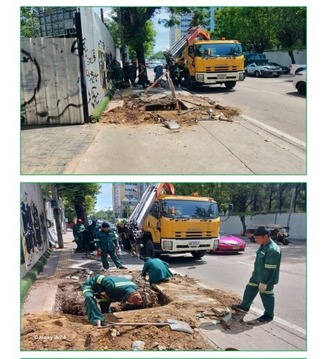 เขตวัฒนาแจงตัดต้นไม้เอนเอียงเสี่ยงโค่นล้มในซอยสุขุมวิท 3 พร้อมปลูกไม้ยืนต้นทดแทน