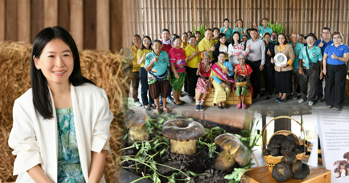 กรมทรัพย์สินทางปัญญา เยือนกรุงเก่าลุยดงโสน ดันเห็ดตับเต่า ขึ้นทะเบียน GI น้องใหม่ จูงมือสุดยอดเชฟชื่อดังคิดค้นเมนูอาหารไทยสูตรเด็ดส่งต่อชุมชน สร้างโอกาส เพิ่มรายได้ให้กับผู้ประกอบการอย่างยั่งยืน