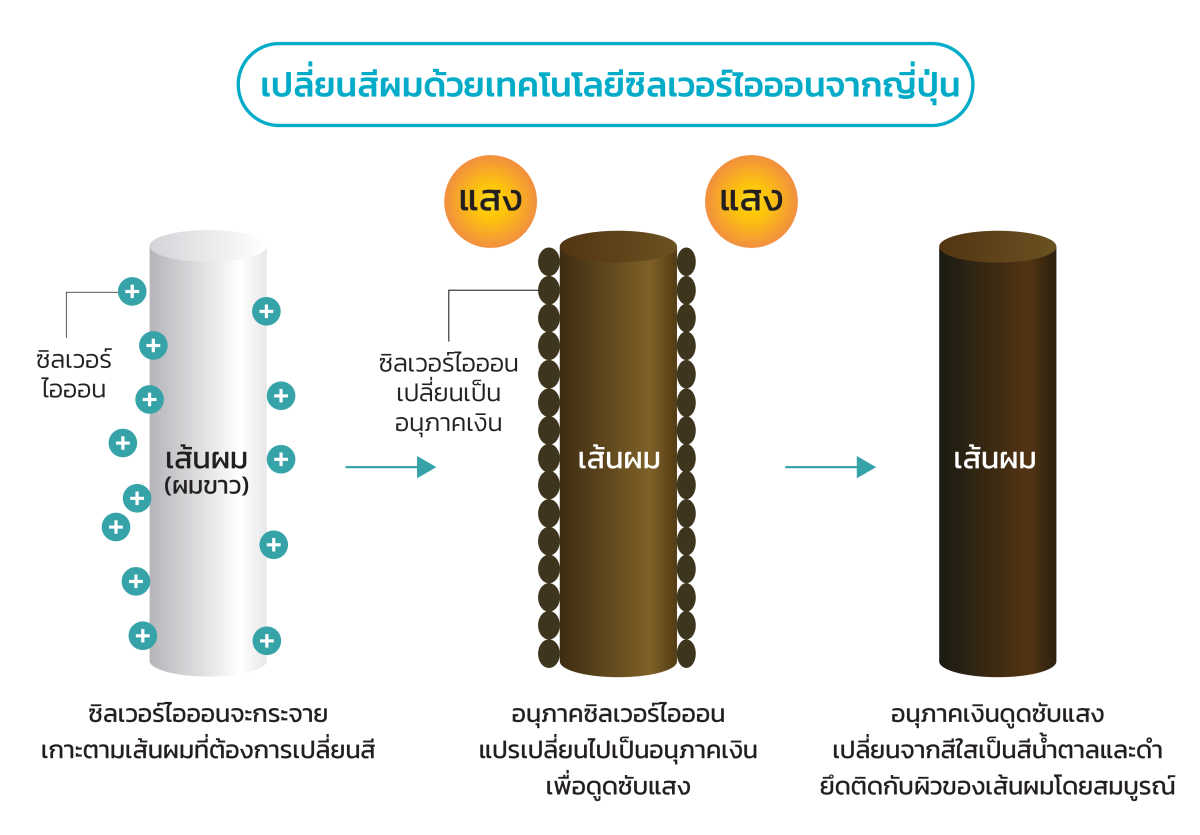 “ภูมิพฤกษา” เปิดตัว แคมเปญผลิตภัณฑ์ใหม่ “ผมหิวแสง”