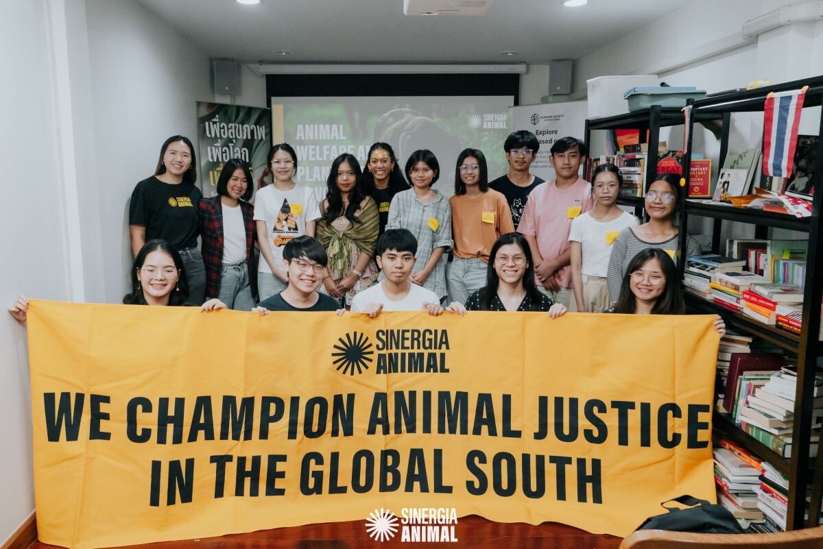 ครั้งแรกในไทย! Sinergia Animal ร่วมกับจุฬาฯ จัดอบรมนิสิต นักศึกษา สร้างนักรณรงค์เพื่อสัตว์รุ่นใหม่