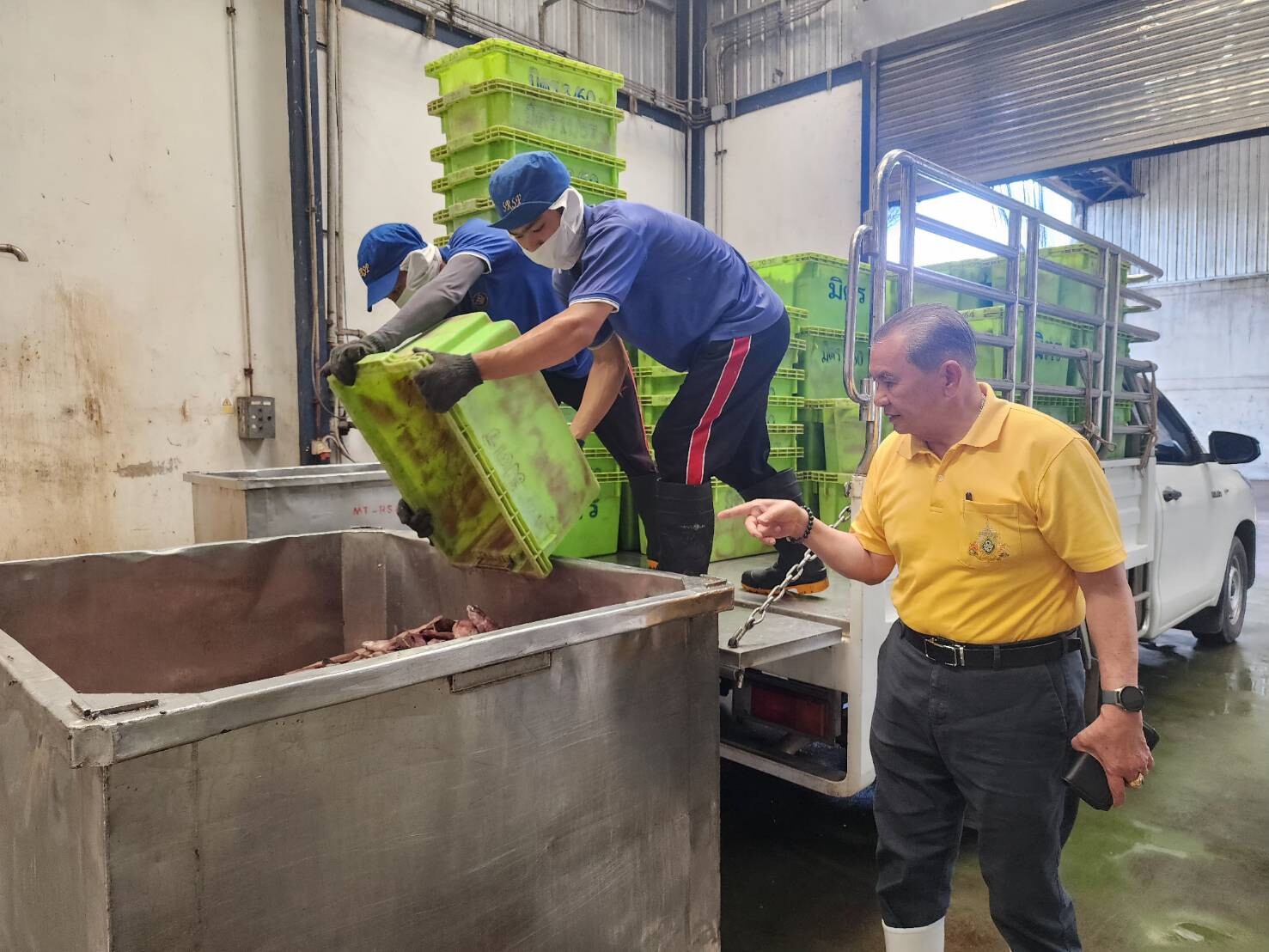 CPF Backed Samut Sakhon Fishmeal Factory Achieves 1 Million kg Purchase in Battle Against Blackchin Tilapia