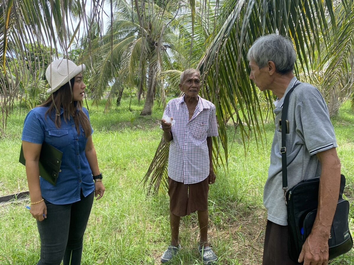 เกษตรกรบ้านแหลม ร่วมกับศจช. ติดตามสถานการณ์การระบาดศัตรูมะพร้าวในพื้นที่