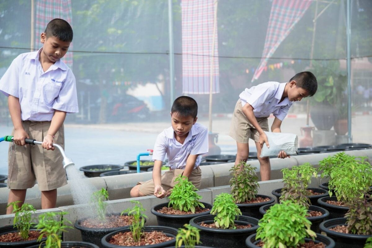 มูลนิธิ เมเจอร์ แคร์ จับมือ เมล็ดพันธุ์ตราศรแดง หนุนการเรียนรู้นอกห้องเรียน สอนปลูกผักปลอดสารพิษ พร้อมมอบโรงเรือนปลูกผัก "โครงการปลูกผัก สร้างสุข สร้างรายได้" ให้กับน้อง ๆ โรงเรียนบ้านด่านเกวียน อ.โชคชัย จ.นครราชสีมา