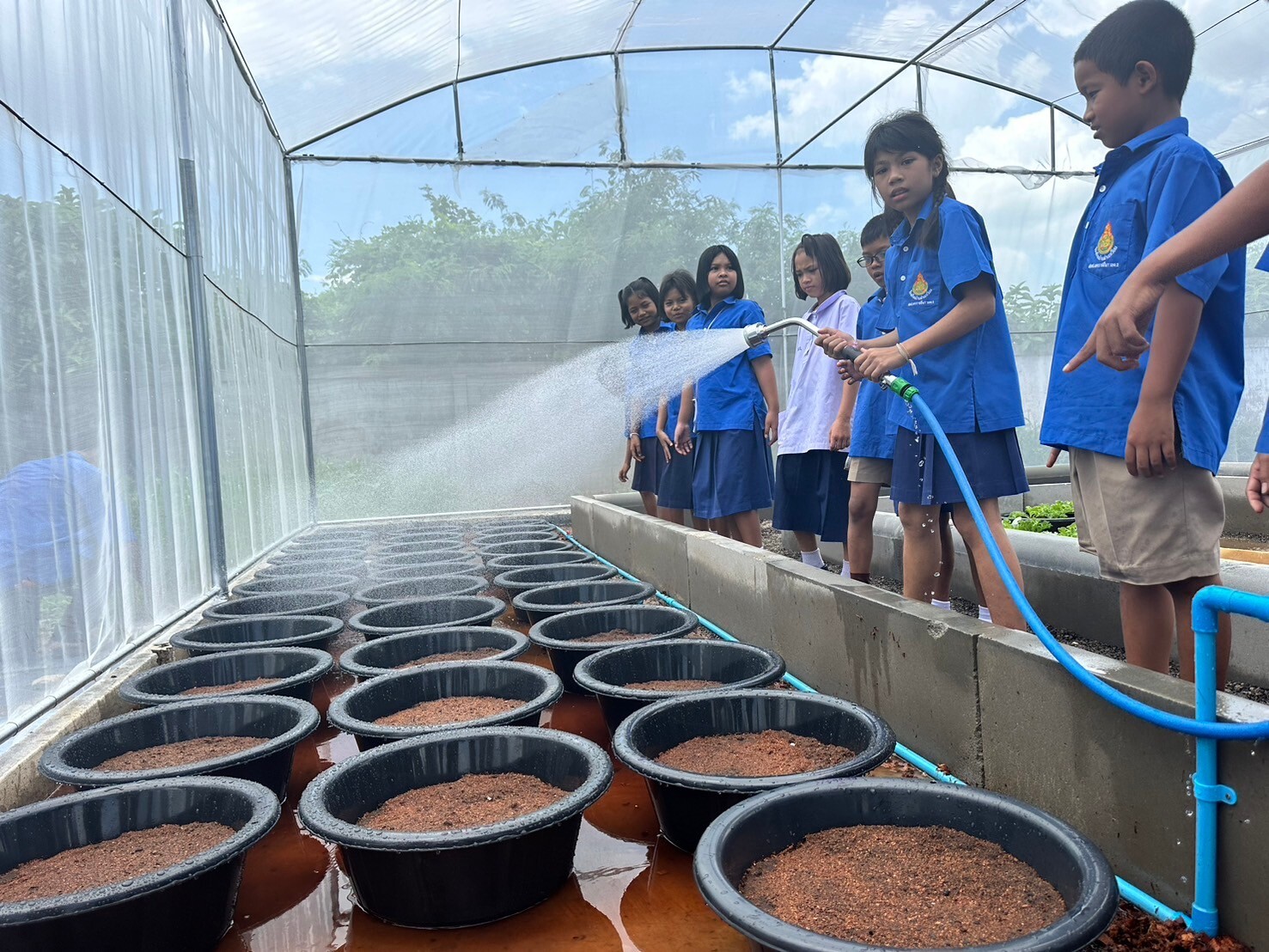 เมล็ดพันธุ์ตราศรแดง จับมือ มูลนิธิเมเจอร์แคร์ ใน "โครงการปลูกผัก สร้างสุข สร้างรายได้" หนุนนักเรียนเรียนรู้การปลูกผักปลอดสารพิษ ฝึกทักษะต่อยอดสร้างอาชีพ