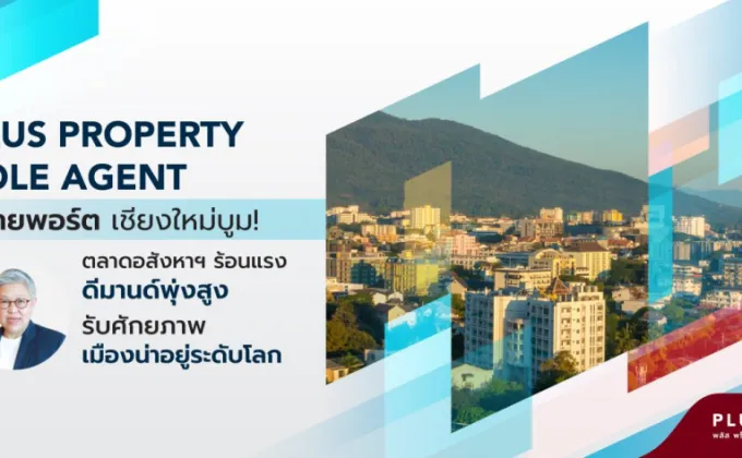 Plus Property Sole Agent ขยายพอร์ต