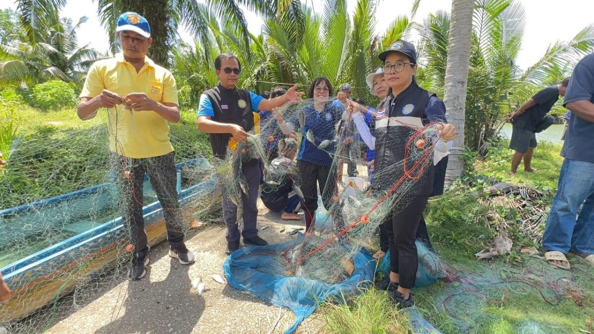 After Month-Long Effort…CPF-Fisheries Department Alliance Shows Continuous Decline in Invasive Blackchin Tilapia