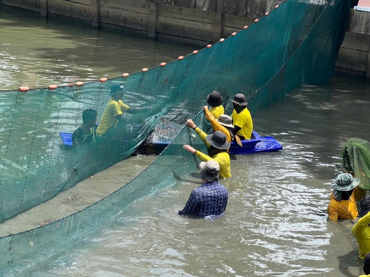 After Month-Long Effort…CPF-Fisheries Department Alliance Shows Continuous Decline in Invasive Blackchin Tilapia