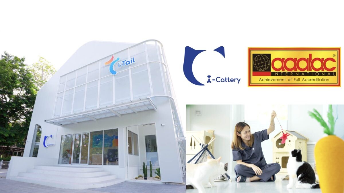 ศูนย์วิจัยอาหารแมว i-Cattery ก้าวสู่ความสำเร็จครั้งประวัติศาสตร์ เป็นบริษัทเอกชนรายแรกในประเทศไทยและผู้ผลิตอาหารสัตว์เลี้ยงรายเดียวของโลกที่ได้รับการรับรองจาก AAALAC International