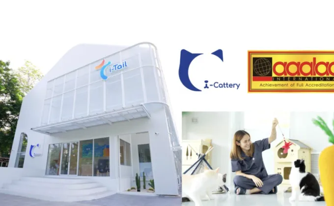 ศูนย์วิจัยอาหารแมว i-Cattery ก้าวสู่ความสำเร็จครั้งประวัติศาสตร์