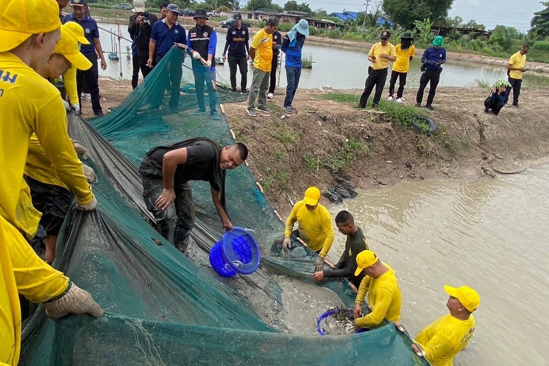 CPF Showcases Progress on Blackchin Tilapia Management, Launches Fish Sauce Production Project with Corrections Department