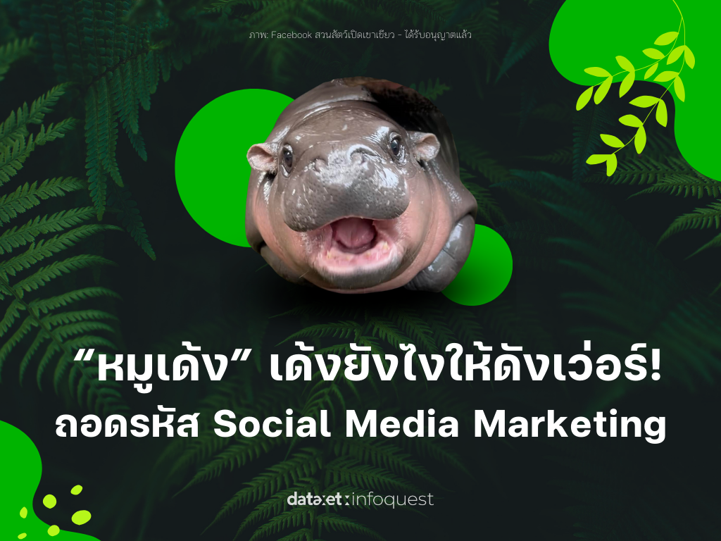 "หมูเด้ง" เด้งยังไงให้ดังเว่อร์! ถอดรหัส Social Media Marketing