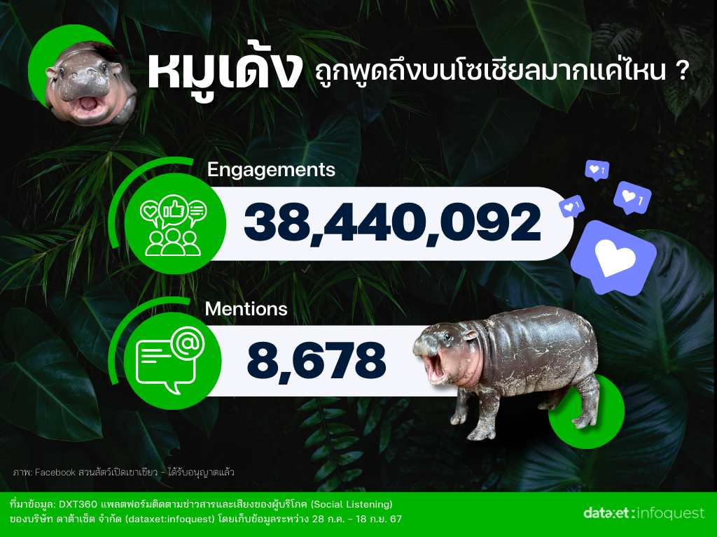 "หมูเด้ง" เด้งยังไงให้ดังเว่อร์! ถอดรหัส Social Media Marketing