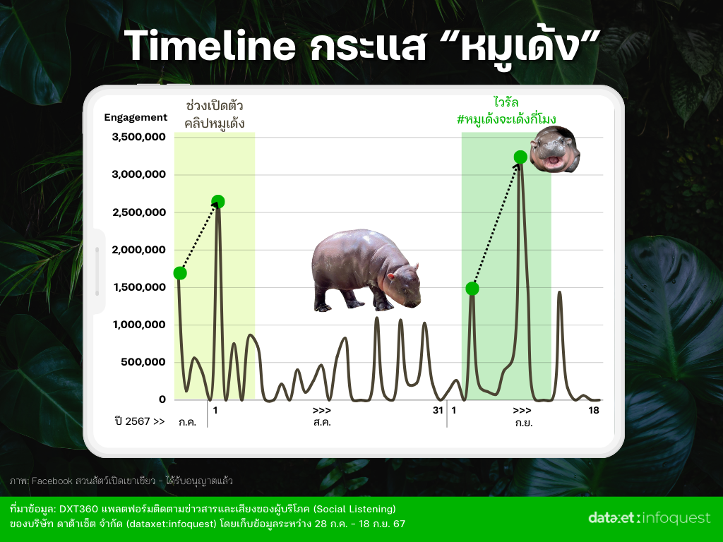 "หมูเด้ง" เด้งยังไงให้ดังเว่อร์! ถอดรหัส Social Media Marketing