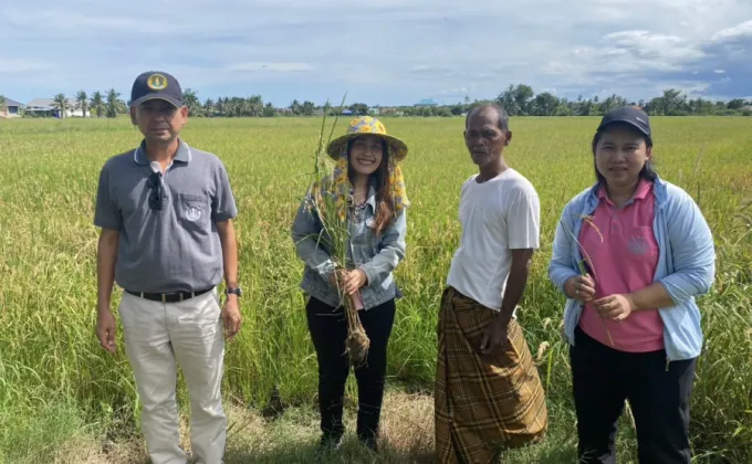 เกษตรอำเภอบ้านแหลม ติดตามสถานการณ์การระบาดโรคและแมลงศัตรูข้าวในพื้นที่ตำบลท่าแร้งและท่าแร้งออก