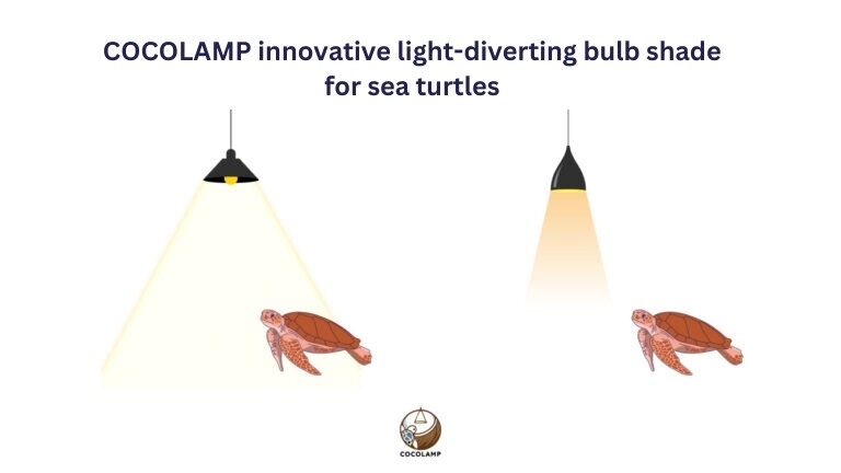 COCOLAMP Saves Lost Baby Sea Turtles, An Innovation from Chulalongkorn Students