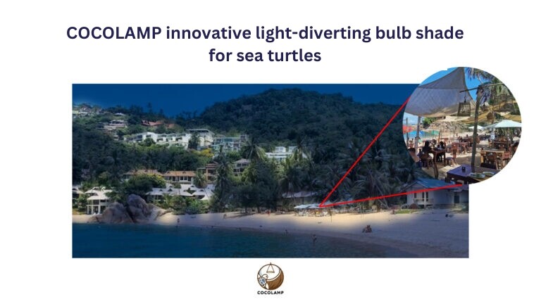 COCOLAMP Saves Lost Baby Sea Turtles, An Innovation from Chulalongkorn Students