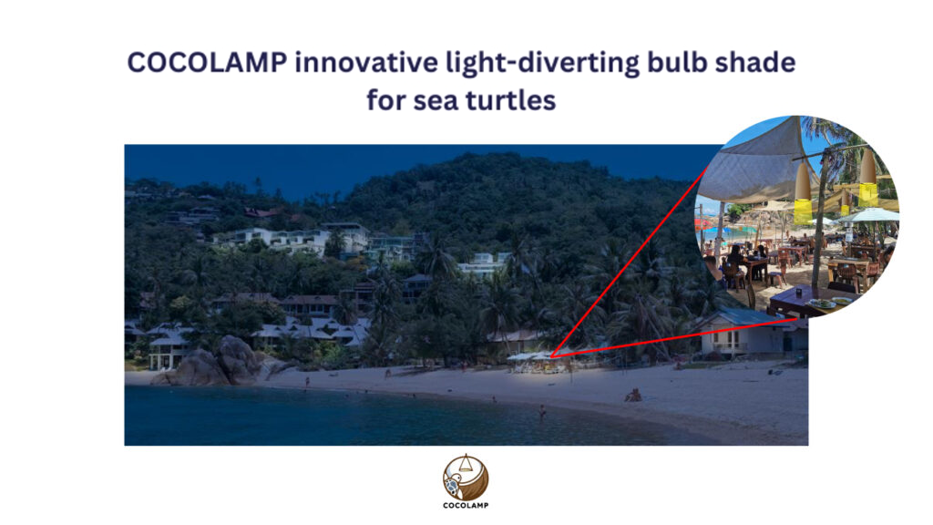 COCOLAMP Saves Lost Baby Sea Turtles, An Innovation from Chulalongkorn Students