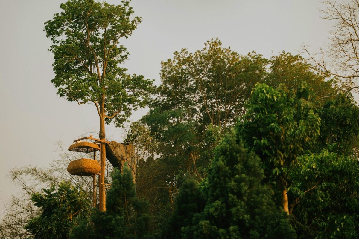 อนันตรา สามเหลี่ยมทองคำ เชียงราย เปิดตัว Canopy กระเช้าลอยฟ้า