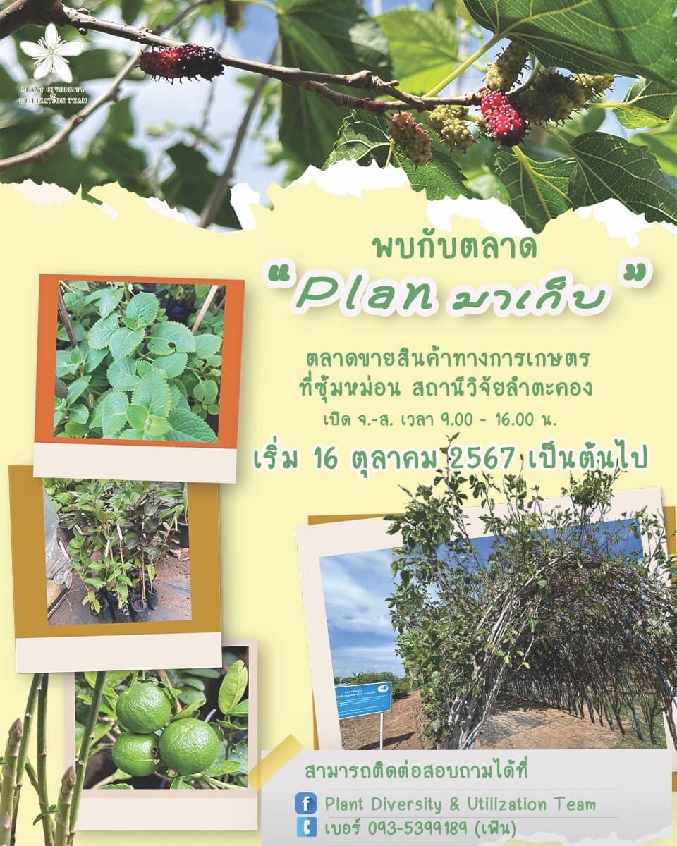 วว. ชวนเที่ยวตลาด "Plan มาเก็บ" ณ  สถานีวิจัยลำตะคอง  นครราชสีมา