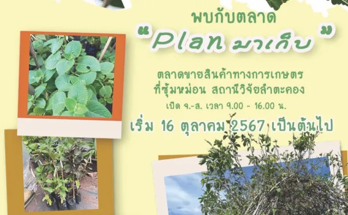 วว. ชวนเที่ยวตลาด Plan มาเก็บ