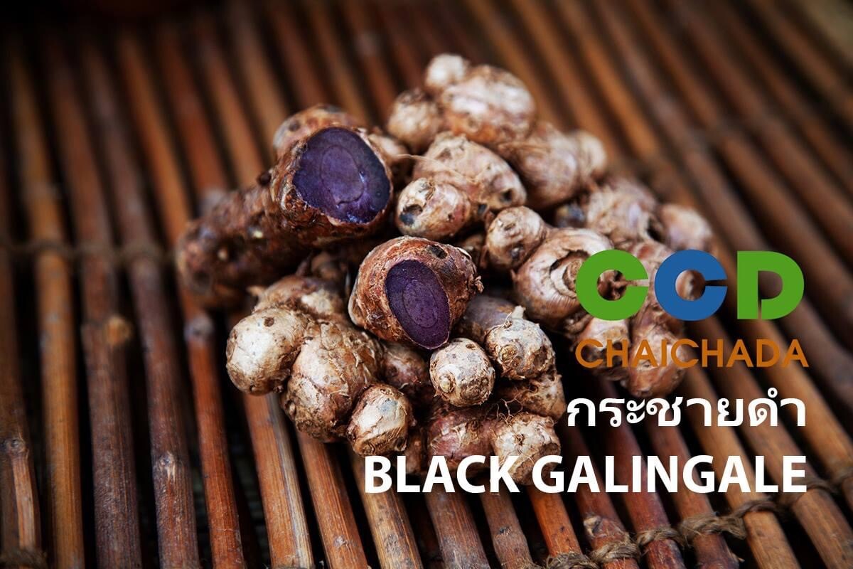 Black Ginger: A Powerful Herbal Remedy for Comprehensive Health Benefits