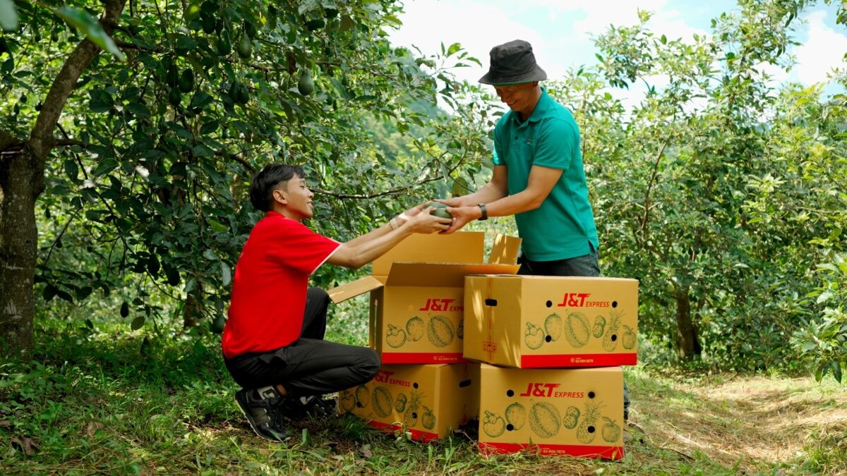 มากกว่าบริการจัดส่ง J&amp;T Fruit Parcels เติมความสุข สร้างรอยยิ้มแก่เกษตรกร จังหวัดเชียงใหม่