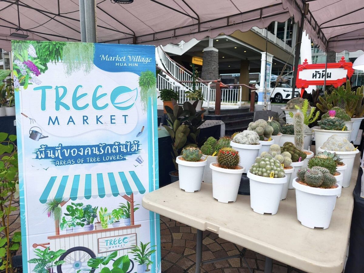 Tree Market @ HuaHin ตลาดนัดต้นไม้หน้าห้างหัวหิน เดินสะดวก ช้อปสบายมรให้เลือกเยอะ