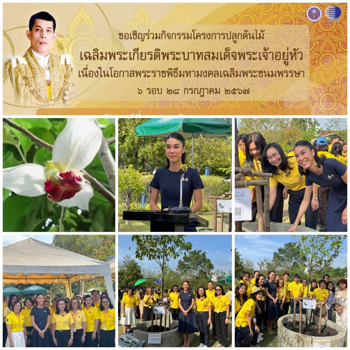 วว. จัดกิจกรรม "โครงการปลูกต้นไม้ เฉลิมพระเกียรติพระบาทสมเด็จพระเจ้าอยู่หัว เนื่องในโอกาสพระราชพิธีมหามงคลเฉลิมพระชนมพรรษา 6  รอบ 28 กรกฎาคม  2567