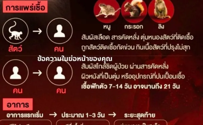 กทม. เตรียมพร้อมมาตรการเฝ้าระวัง-ป้องกันการแพร่ระบาดโรคฝีดาษลิงในกรุงเทพฯ