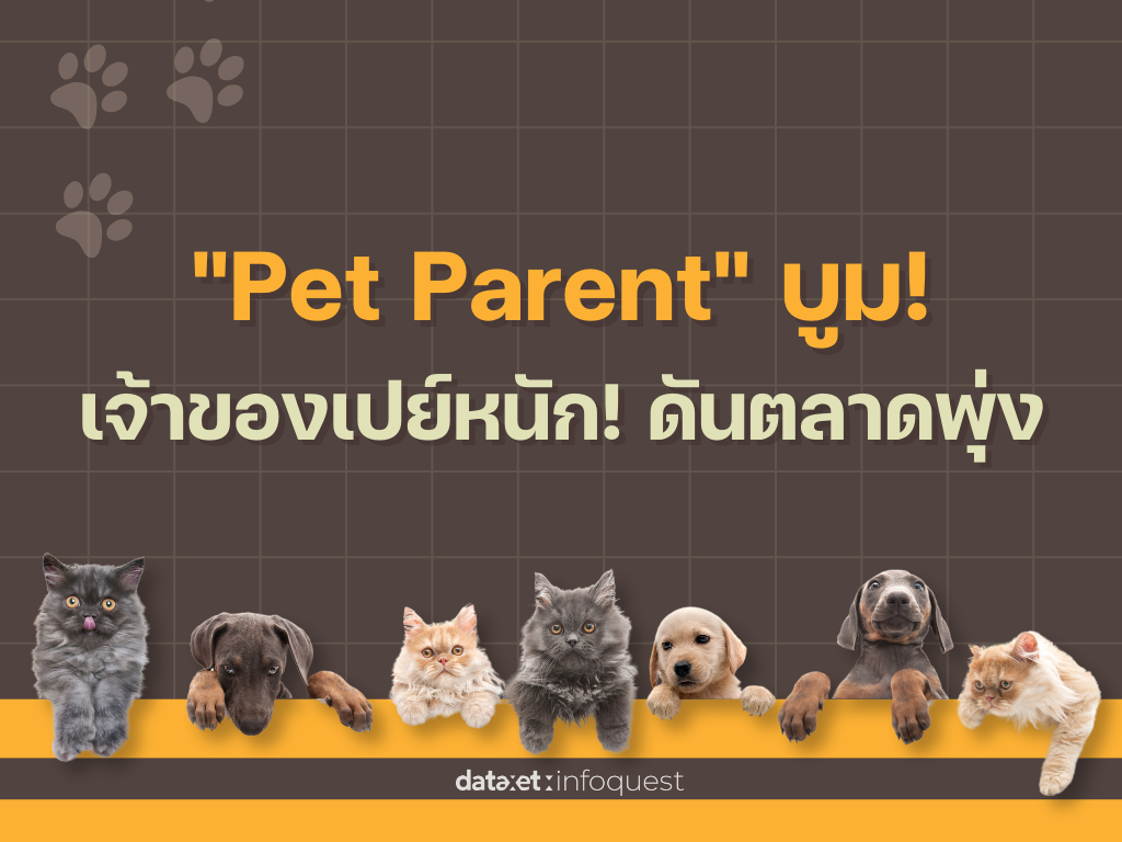 "Pet Parent" บูม! เจ้าของเปย์หนัก! ดันตลาดสัตว์เลี้ยงพุ่ง