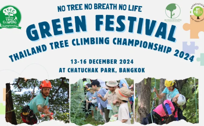 Green Festival 2024: No Tree,