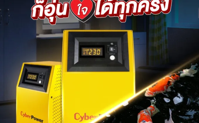 Cyber Power รุ่น CPS Series: ตัวช่วยสำรองไฟเพื่อชีวิตที่ปลอดภัยของปลาในทุกสถานการณ์