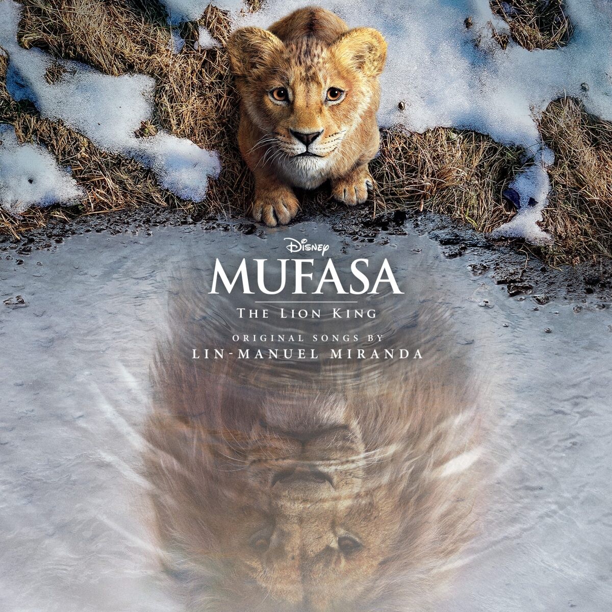 Mufasa: The Lion King หนังสุดอบอุ่นจาก Disney ส่งเพลงประกอบหนังสุดซึ้งให้ฟังแล้ววันนี้ก่อนหนังเข้าโรง