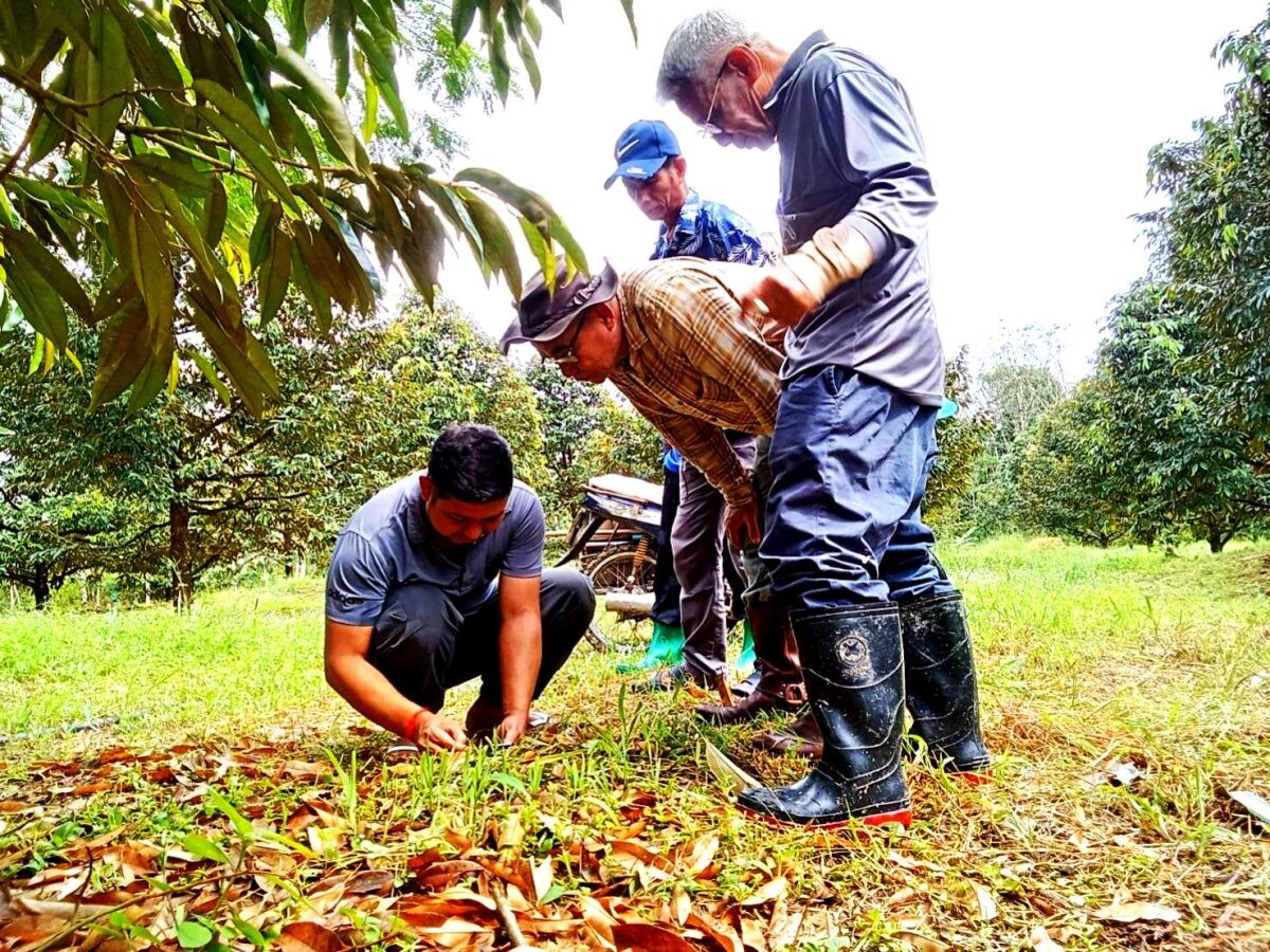 สถาบันส่งเสริมและพัฒนากิจกรรมปิดทองหลังพระ สืบสานแนวพระราชดำริ สำนักงานปฏิบัติภาคใต้ ก้าวสู่ฤดูกาลใหม่ เปิดแผนงานเชิงรุก 2568