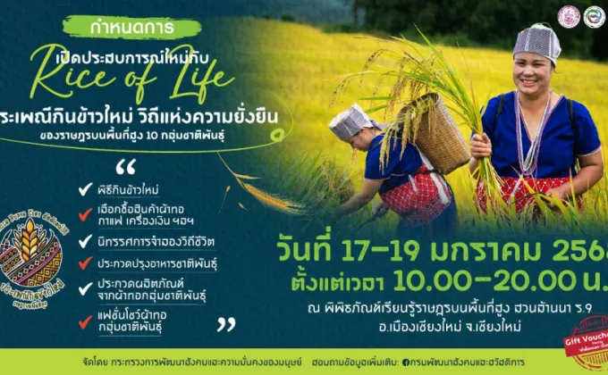 พม. ชวนเที่ยวงาน Rice of life