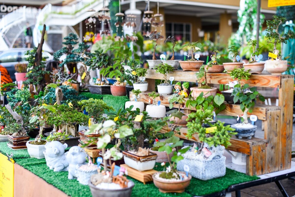 Tree Market @ Huahin