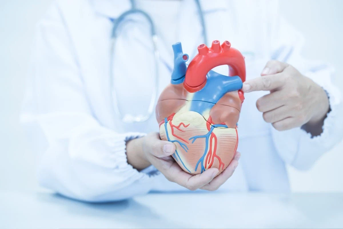 CT CALCIUM SCORE การตรวจแคลเซียมหลอดเลือดหัวใจ