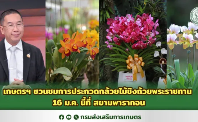 เกษตรฯ ชวนชมการประกวดกล้วยไม้ชิงถ้วยพระราชทาน