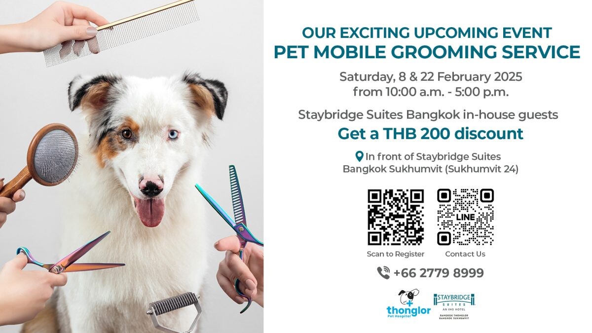 Staybridge Suites Bangkok Partners with Thonglor Pet Hospital for Exclusive Pet Mobile Grooming