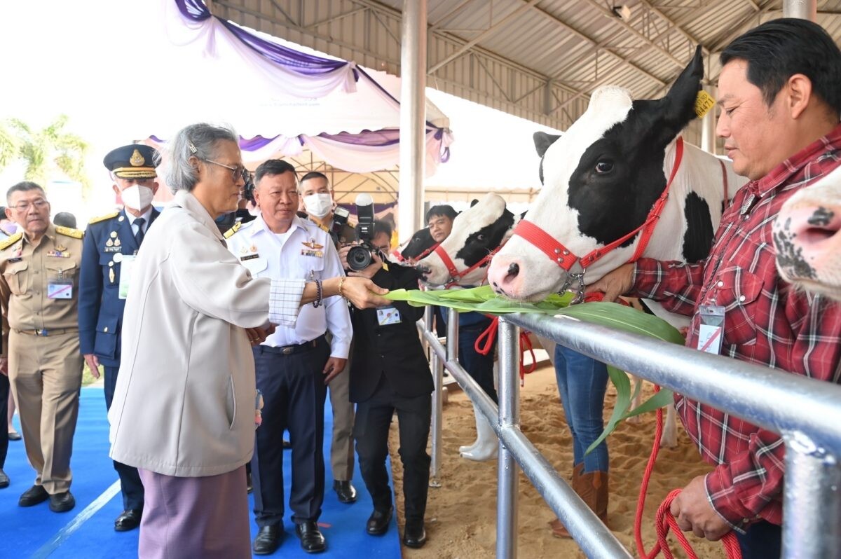 กรมสมเด็จพระเทพรัตนราชสุดาฯ เสด็จพระราชดำเนินเป็นองค์ประธานเปิดงานเทศกาลโคนมแห่งชาติ ประจำปี 2568