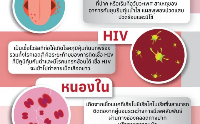 กทม. รุกมาตรการป้องกัน-แก้ปัญหาโรคติดต่อทางเพศสัมพันธ์