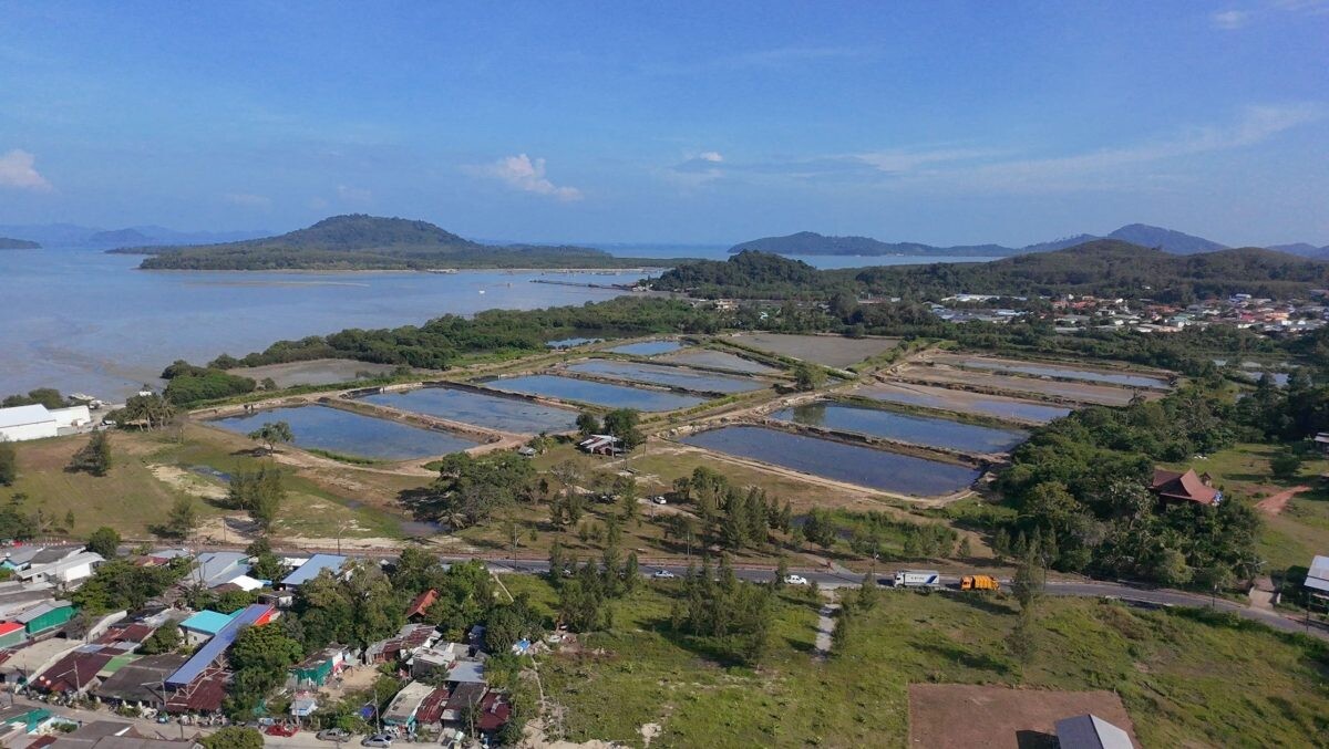 โอกาสการลงทุนสุดพิเศษในตลาดการท่องเที่ยว ท่าจอดเรือที่กำลังเติบโตของภูเก็ต