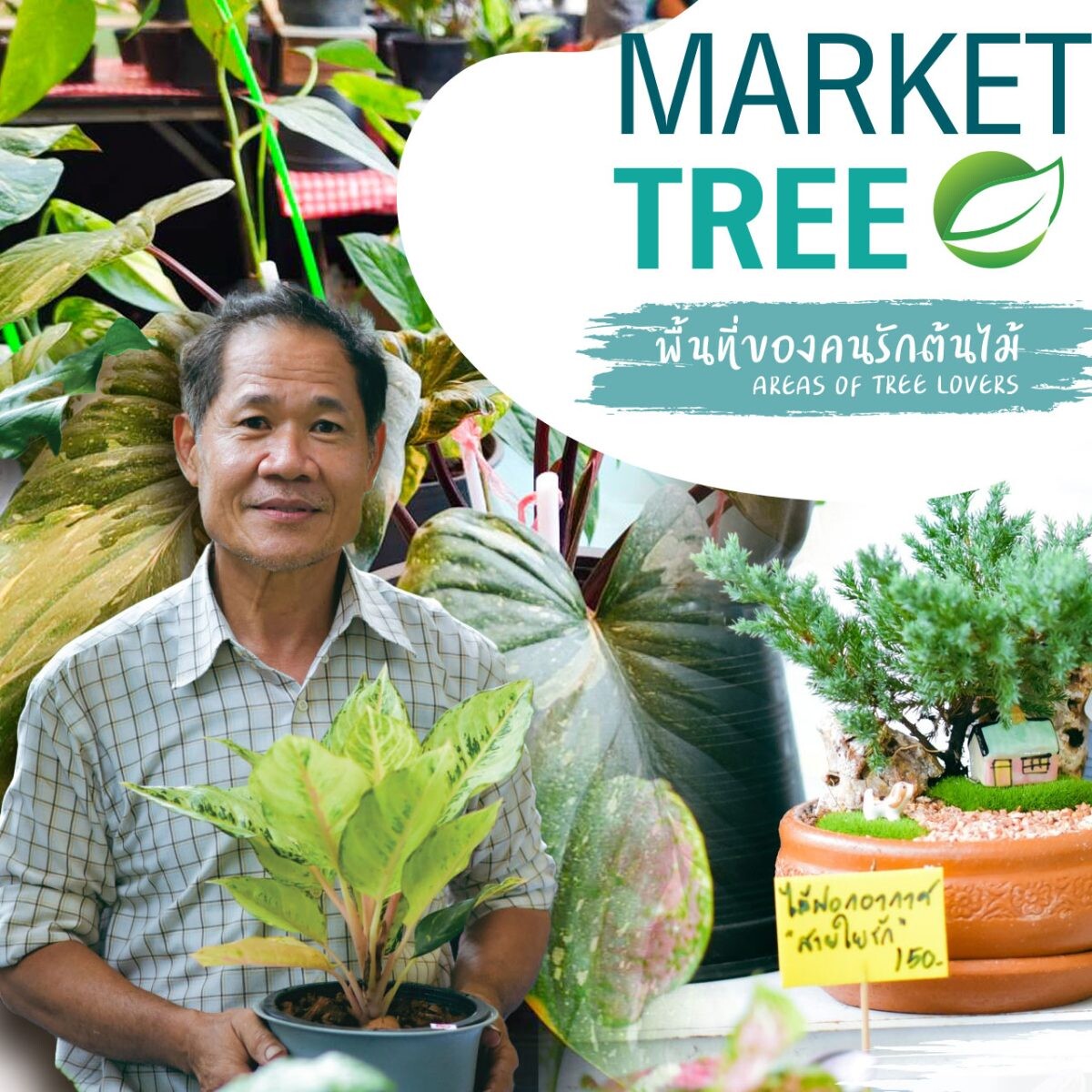 TREE MARKET HUAHIN