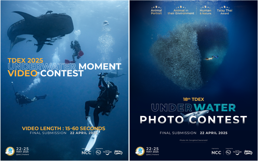 เปิดเลนส์สู่โลกใต้ทะเล ในกิจกรรมประกวดภาพถ่าย 18th TDEX UNDERWATER PHOTO &amp; 2nd TDEX UNDERWATER MOMENT VIDEO CONTEST! ชิงรางวัลกว่า 400,000 บาท